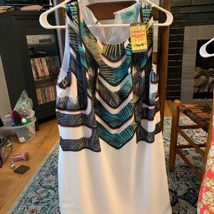 NWT Karlie dress